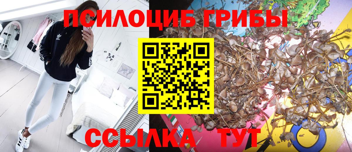 Галлюциногенные грибы прущие грибы  Галлюциногенные грибы Magic Shrooms  Вход с VPN  Назрань 